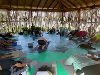 Wise Wellness -Yoga Centre /Day Spa and iTal Mama Vegan Cafe